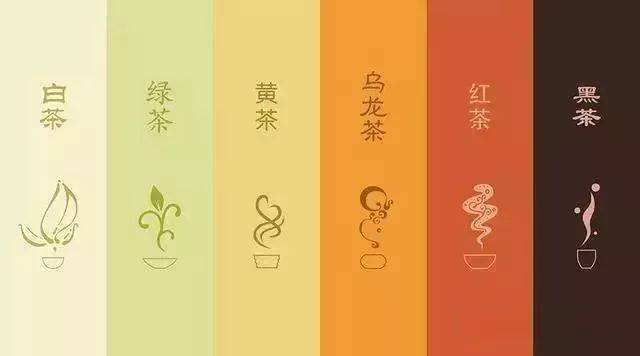 茶叶入门知识