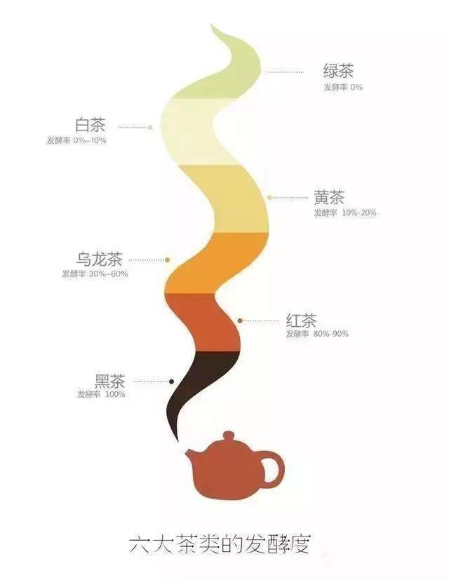 茶叶入门知识