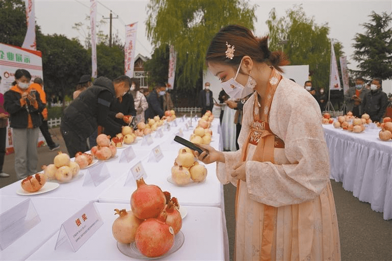 从西域到长安的千年传奇