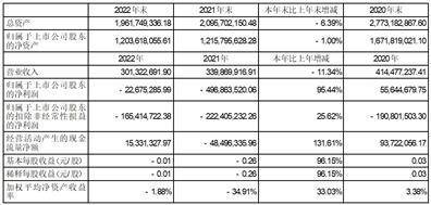 深圳市兆新能源股份有限公司2022年度报告摘要