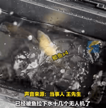 男子在家操控无人机钓鱼<strong></p>
<p>炒股群 推荐贵金属</strong>，当天就钓上十几条，当事人：不要轻易尝试，已被鱼拉下水十几个无人机