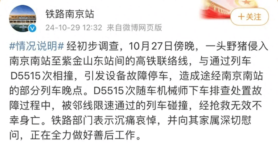 街头横冲直闯<strong></p>
<p>贵金属模拟试题</strong>，抱娃女子被撞伤，警方：已被特警击毙