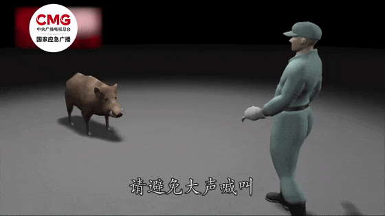 街头横冲直闯<strong></p>
<p>贵金属模拟试题</strong>，抱娃女子被撞伤，警方：已被特警击毙
