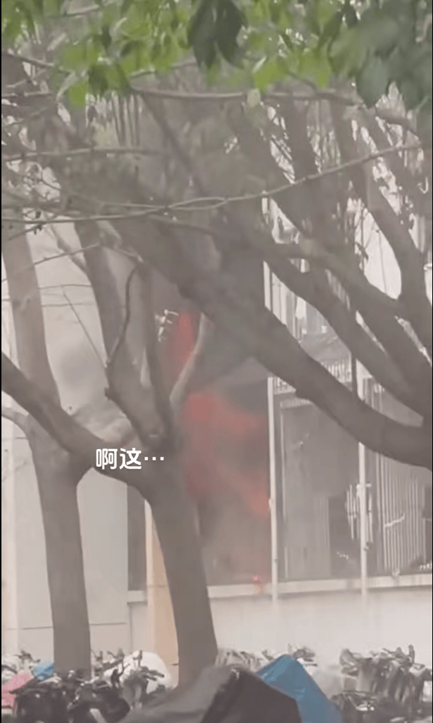 女生宿舍起火<strong></p>
<p>银行贵金属赏鉴会</strong>，楼栋闸机成撤离“拦路虎”，警务室：刷脸是为保障安全