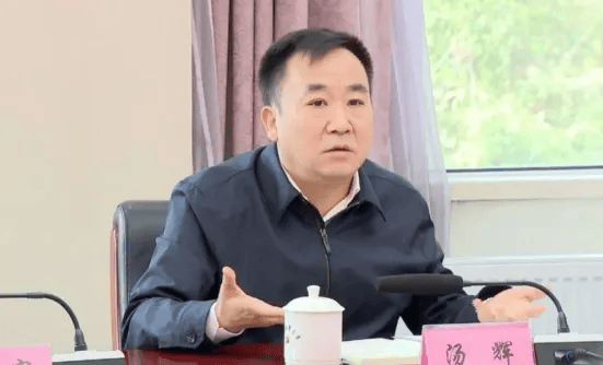 汤辉<strong></p>
<p>贵金属含量</strong>，严重违反政治纪律、组织纪律、廉洁纪律和生活纪律