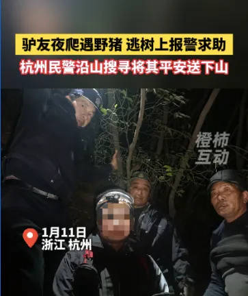“我现在在树上<strong></p>
<p>DOT网站</strong>，野猪在下面……”杭州一男子深夜报警！