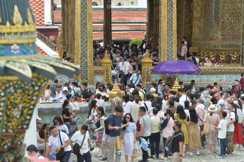 取消<strong></p>
<p>DOT网站</strong>！退款！损失30000多元也不要了……
