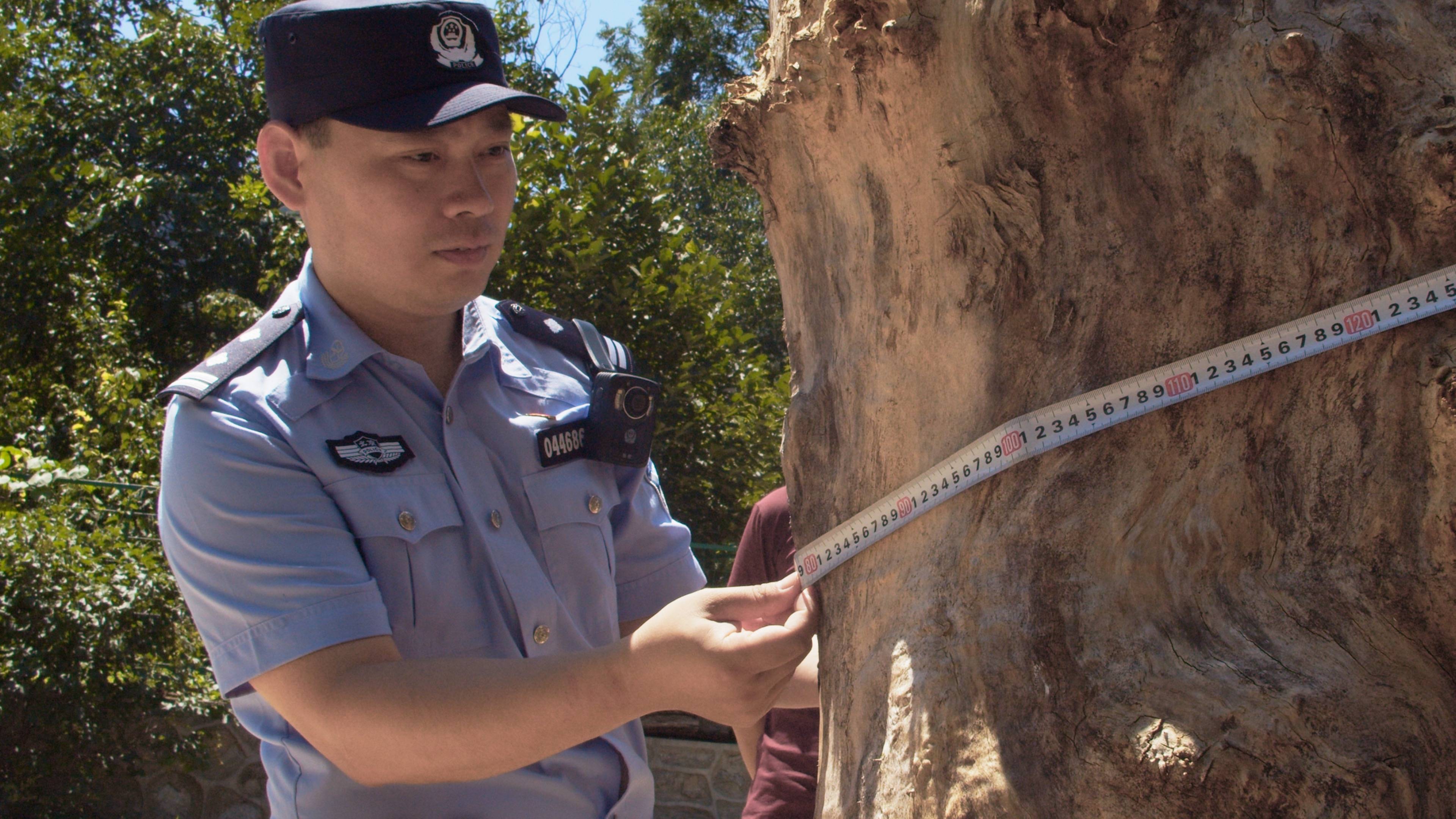 森林警察韩孟祺：乔装成驴友潜伏密林中<strong></p>
<p>区块链挖矿投资</strong>，抓获“粘鸟”嫌疑人