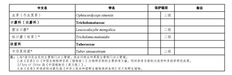 价值18万余元！男子在祁连山非法收购5632根冬虫夏草<strong></p>
<p>IPFS投资</strong>，构成危害国家重点保护植物罪获刑