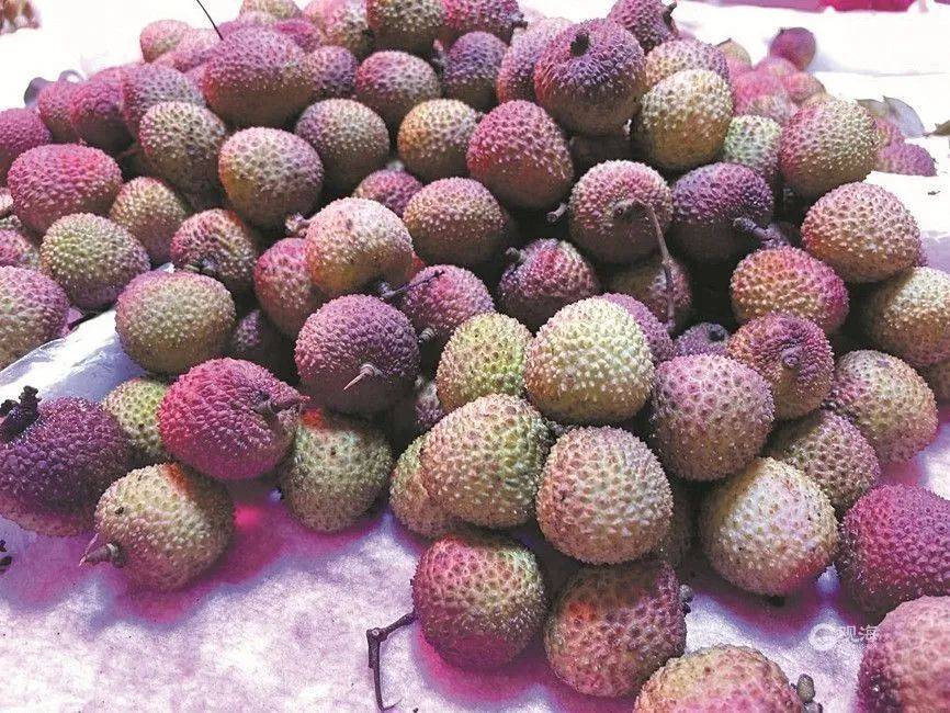 大跳水<strong></p>
<p>比特币APP下载</strong>，暴跌40%！老板：一天一个价，估计还要跌