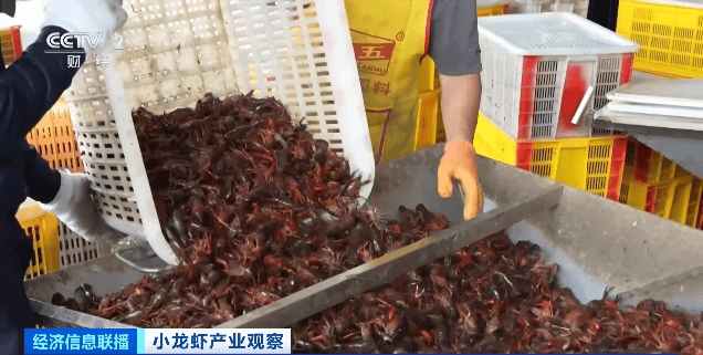 价格暴跌近50%<strong></p>
<p>USDTAPP下载</strong>！“接下来还会降”！青岛正大量上市……