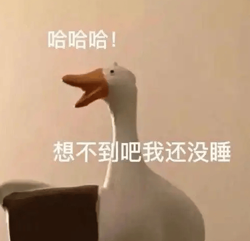 “一小时飞过8架”“感觉屋在抖”！深圳有小区遭遇<strong></p>
<p>XRPAPP下载</strong>，市民：睡不着