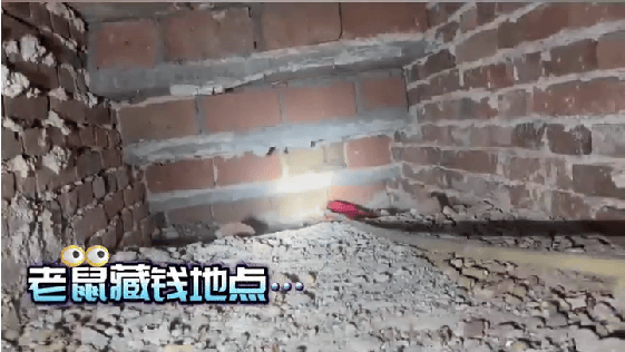老人用红袜子包裹一万元现金藏在门框上<strong></p>
<p>波卡币APP下载</strong>，一天后不翼而飞，警方破案：偷钱的是老鼠