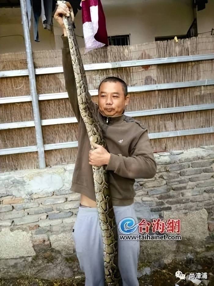 女游客疑被蛇咬伤身亡后<strong></p>
<p>BCHAPP下载</strong>，博主“啊宝”讲毒蛇1天涨粉190万