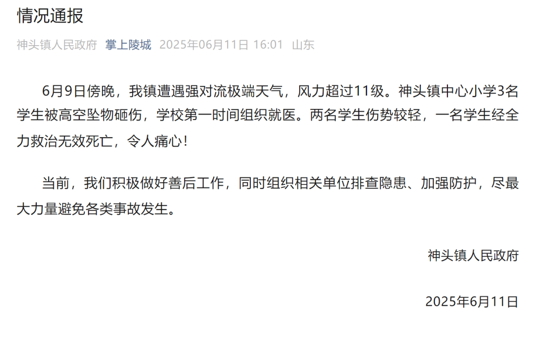 山东德州通报“小学楼顶光伏板掉落砸中多名学生”：3名学生被砸伤<strong></p>
<p>LTCAPP下载</strong>，1名学生经全力救治无效死亡