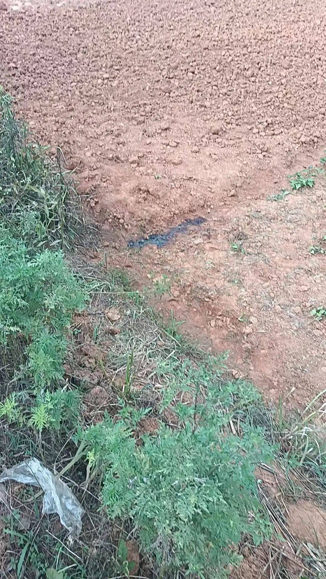 工人被误当猎物枪击身亡<strong></p>
<p>LTC行情</strong>，警方通报：屈某某、罗某某被刑拘