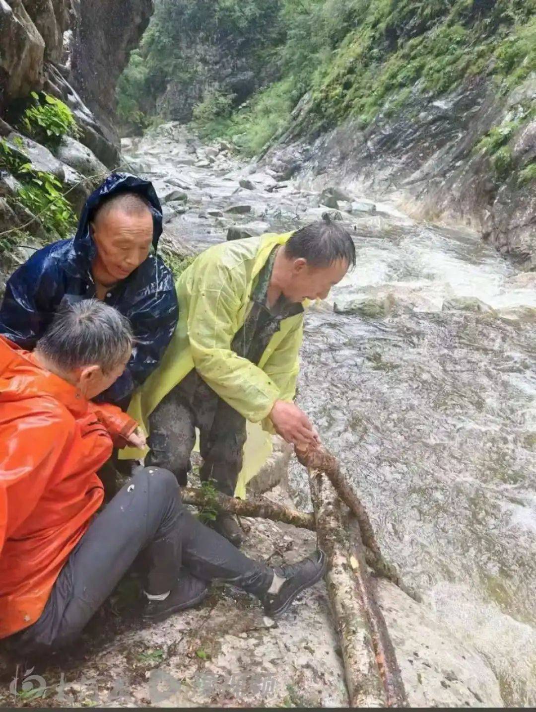 秦岭保护区失联10余天驴友被找到<strong></p>
<p>BSV行情</strong>，失联前后照片曝光：圆脸消失，救援人员称瘦了几十斤