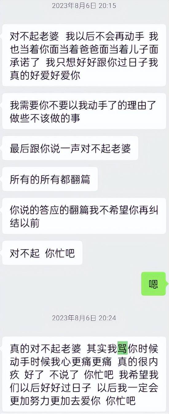 “儿子备考的大学需政审<strong></p>
<p>IPFS行情</strong>，母亲怕影响孩子默默忍受家暴”？当事女子回应：事实有出入