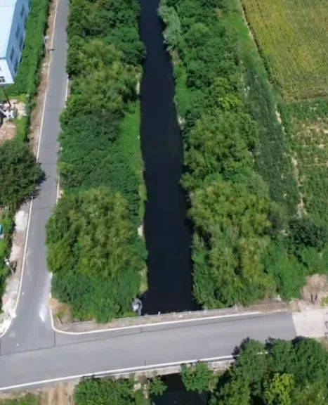 去年整改过的“黑水河”<strong></p>
<p>抹茶价格</strong>，今年怎么又黑了？ | 新京报快评