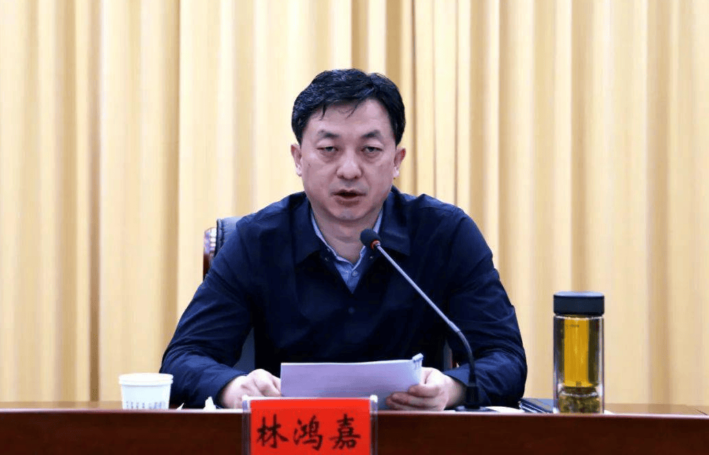 鹤壁市常务副市长林鸿嘉<strong></p>
<p>BITOP价格</strong>，被罢免市人大代表职务