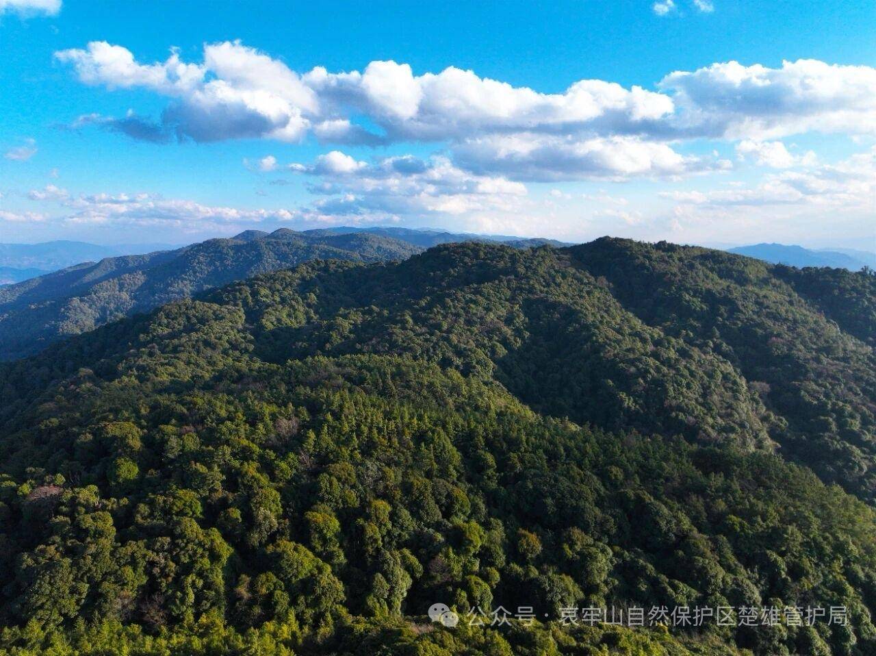 云南哀牢山新规出台：禁止任何单位和个人擅入哀牢山自然保护区<strong></p>
<p>BTC价格</strong>，从事科研活动须报批