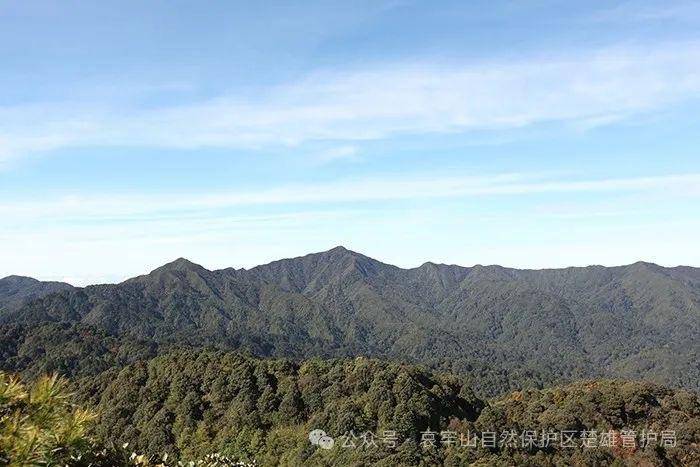 云南哀牢山新规出台：禁止任何单位和个人擅入哀牢山自然保护区<strong></p>
<p>BTC价格</strong>，从事科研活动须报批