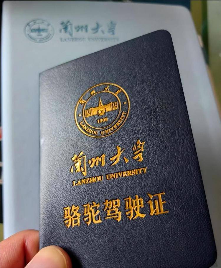 一人一驼<strong></p>
<p>BTC价格</strong>，骆驼尾气排放超标要扣分？兰大回应学生持证骑骆驼上学：骆驼驾驶证为学校文创，非官方证件