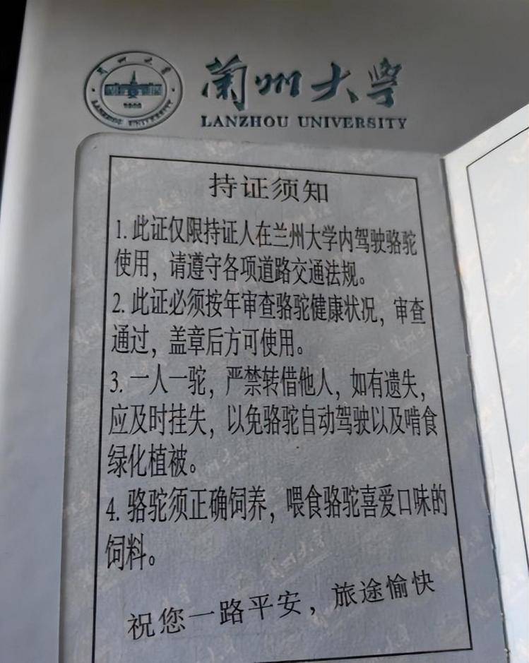 一人一驼<strong></p>
<p>BTC价格</strong>，骆驼尾气排放超标要扣分？兰大回应学生持证骑骆驼上学：骆驼驾驶证为学校文创，非官方证件
