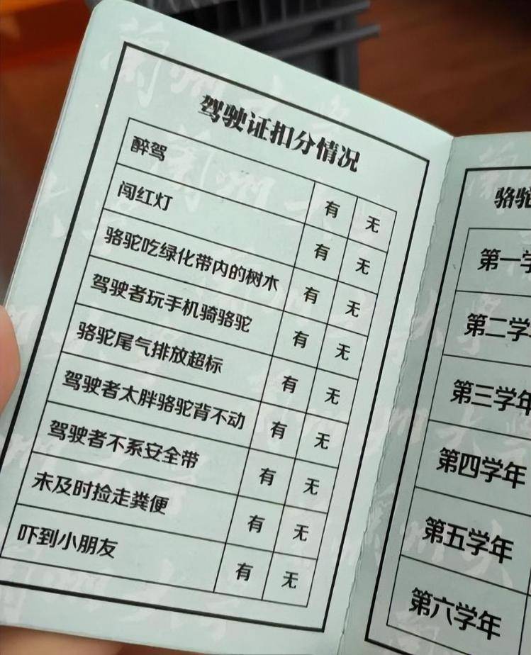 一人一驼<strong></p>
<p>BTC价格</strong>，骆驼尾气排放超标要扣分？兰大回应学生持证骑骆驼上学：骆驼驾驶证为学校文创，非官方证件