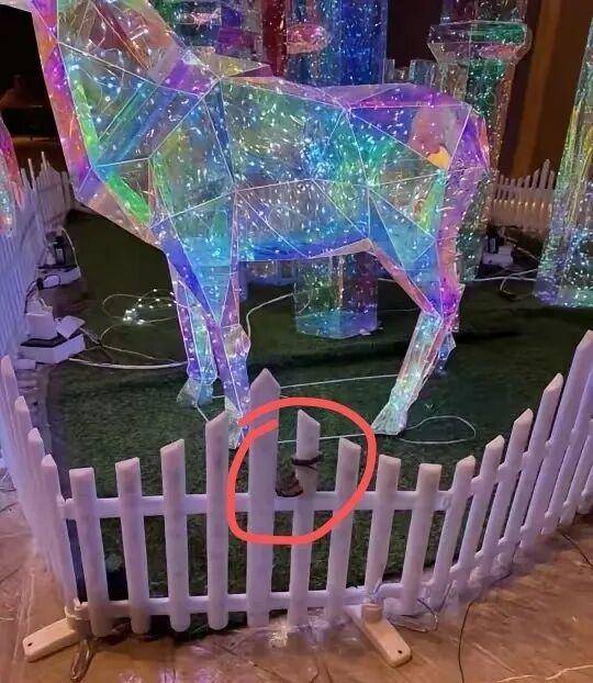 九寨沟一酒店大堂出现蝮蛇<strong></p>
<p>XRP价格</strong>，小孩还摸了蛇头！当地通报：孩子没被咬伤，已全面排查
