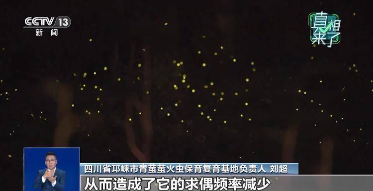 网传萤火虫濒临灭绝<strong></p>
<p>DOT价格</strong>，是真的吗？