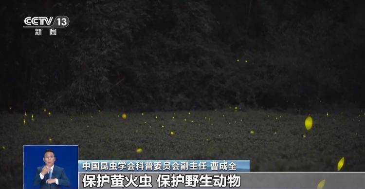 网传萤火虫濒临灭绝<strong></p>
<p>DOT价格</strong>，是真的吗？