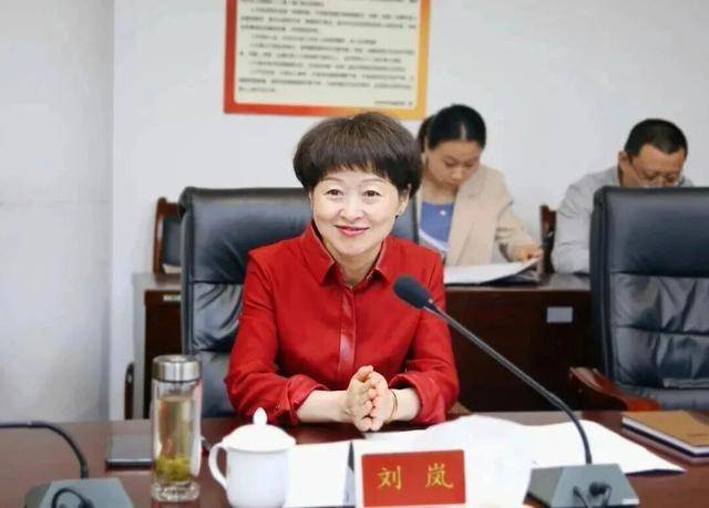刘岚<strong></p>
<p>DOT价格</strong>，在处长、副市长等任上敛财数额特别巨大