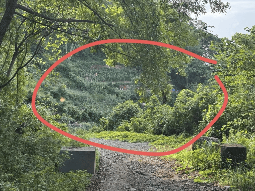 杭州女子误踩“化骨水”身亡<strong></p>
<p>BNB价格</strong>，当地：已锁定化学品所有者，发现三桶，一桶完整，两桶残余