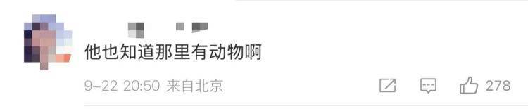 “感谢大家支持我大闹天宫……”蔡国强烟花秀现场感言视频披露<strong></p>
<p>艾达币价格</strong>，又遭质疑！