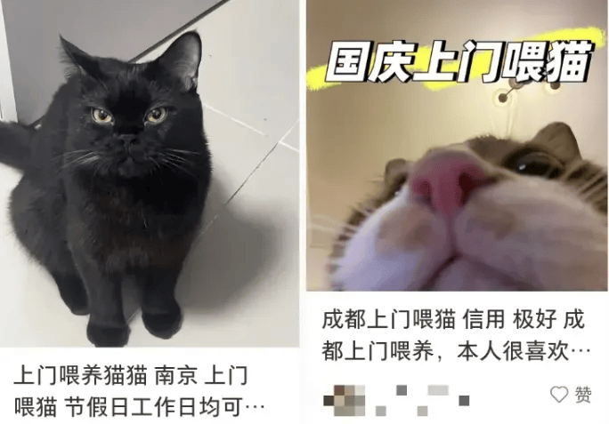 这个需求激增！一男子连接270单<strong></p>
<p>数字货币交易app</strong>，其中一笔收费8100元
