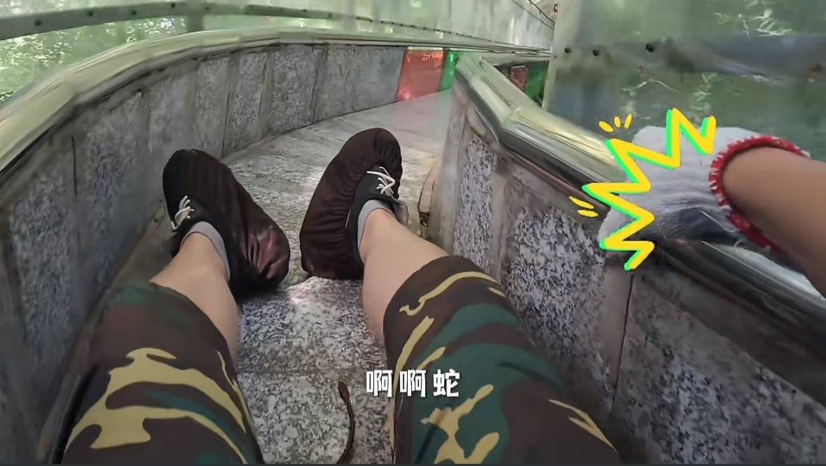 游客称在广西丹炉山滑道遇蛇<strong></p>
<p>数字货币交易网站</strong>，景区致歉：这么多年就这一次，每年都做防蛇处理