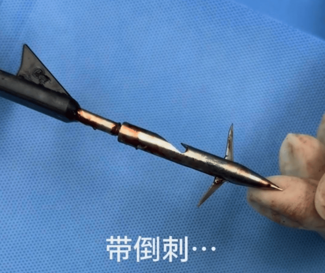 教育局回应“一教师用弓箭射杀小狗”：不实<strong></p>
<p>数字货币交易所投资</strong>，小狗进学校前就被射伤