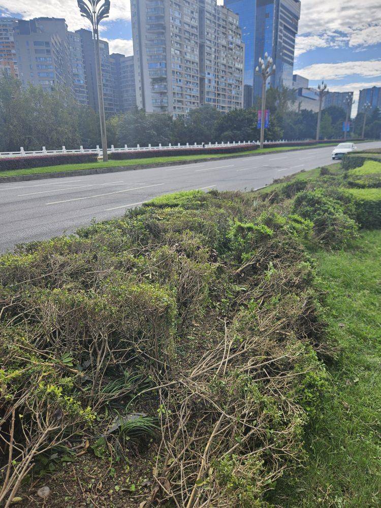 成都发生一起严重交通事故<strong></p>
<p>数字货币交易APP下载</strong>，上游新闻实地探访：燃烧留下的印记仍在