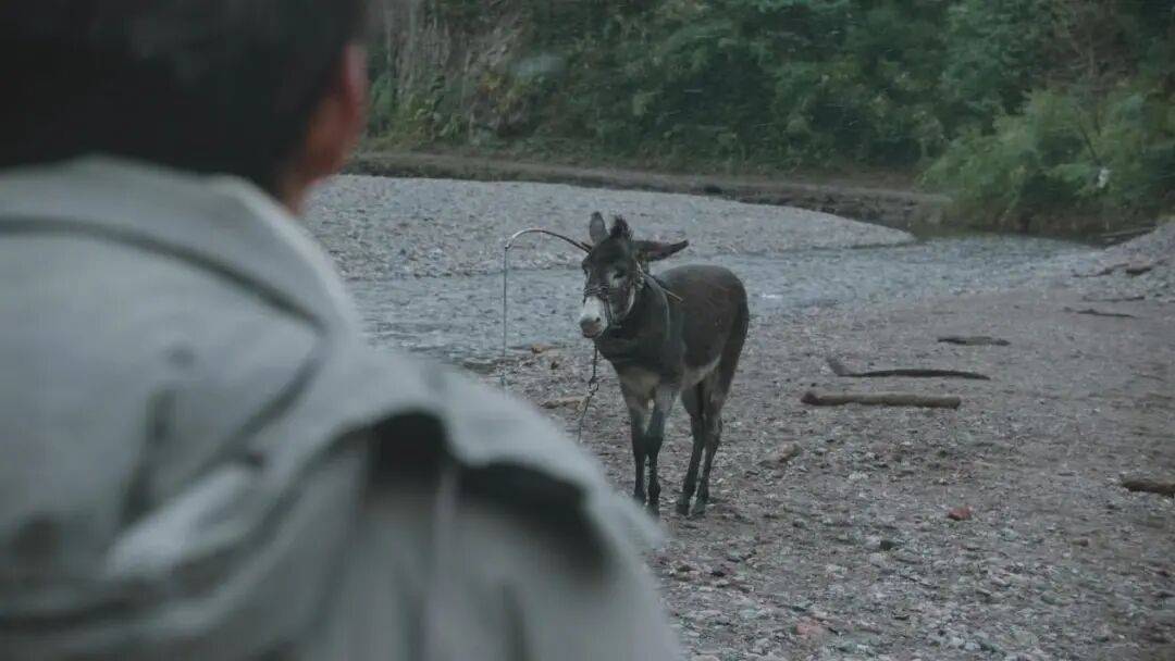 为什么说现在不缺牛马<strong></p>
<p>数字货币交易APP下载</strong>，就缺驴？