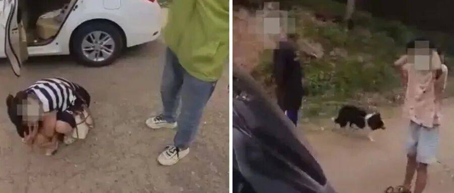 深圳一市民突遭马蜂围袭！已进入高发期<strong></p>
<p>数字货币交易APP下载</strong>，千万别招惹！