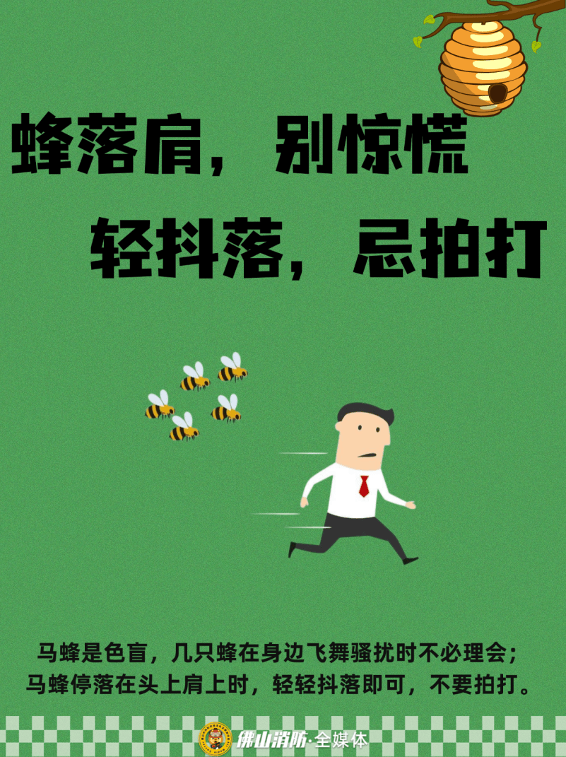 深圳一市民突遭马蜂围袭！已进入高发期<strong></p>
<p>数字货币交易APP下载</strong>，千万别招惹！