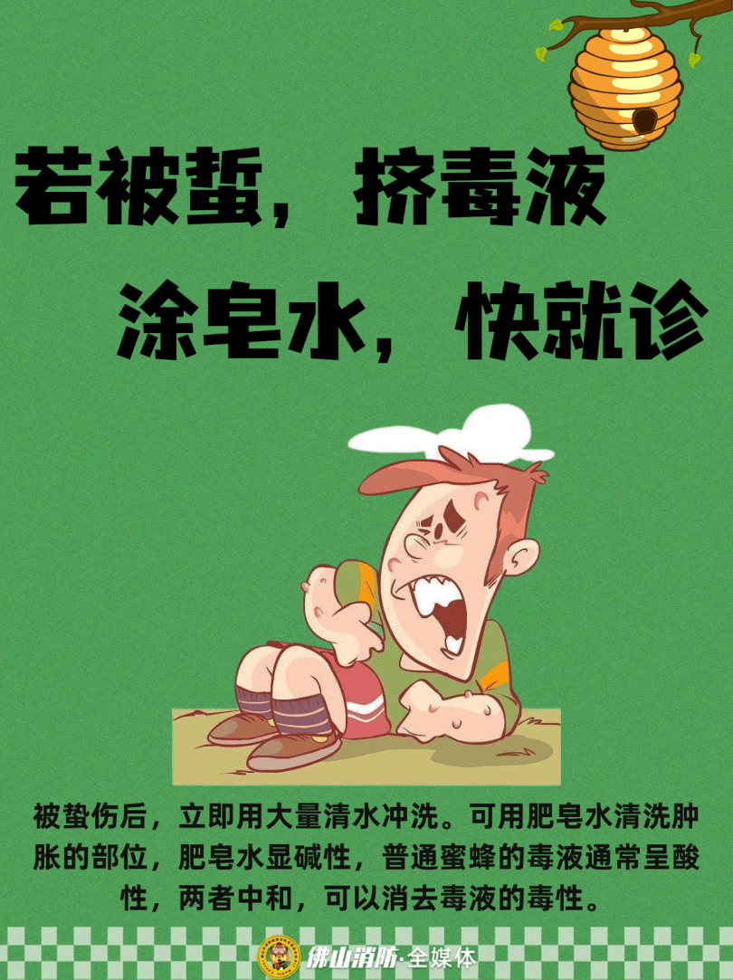 深圳一市民突遭马蜂围袭！已进入高发期<strong></p>
<p>数字货币交易APP下载</strong>，千万别招惹！