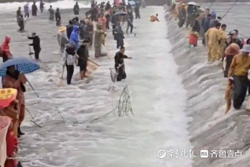 “鱼多得数不过来<strong></p>
<p>数字货币交易所交易平台</strong>，一网子下去能捞好几条”济南锦绣川水库开闸放水，大量鲢鱼被冲出，工作人员：禁止捕捞！