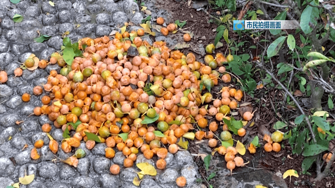 不要捡<strong></p>
<p>数字货币交易所交易平台</strong>！不要吃！昆明街头正大量出现……