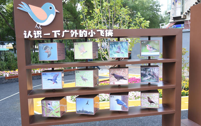 西城区广外街道：“断头路”变身口袋公园<strong></p>
<p>数字货币交易平台</strong>，装满民生“微幸福”