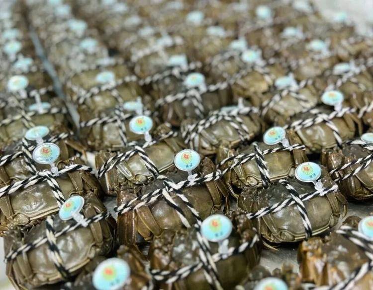 武汉江夏一地大闸蟹大量上市<strong></p>
<p>数字货币app</strong>，日产1000斤当天售完，每只螃蟹有自己的“身份证”，吃深海小黄鱼长大