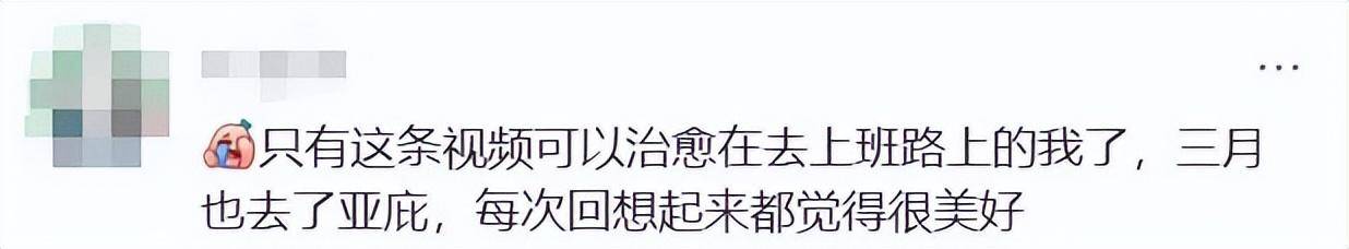 上海女生国外丢失手机<strong></p>
<p>数字货币网站</strong>，找回后发现多了两段视频，网友：结局意想不到……