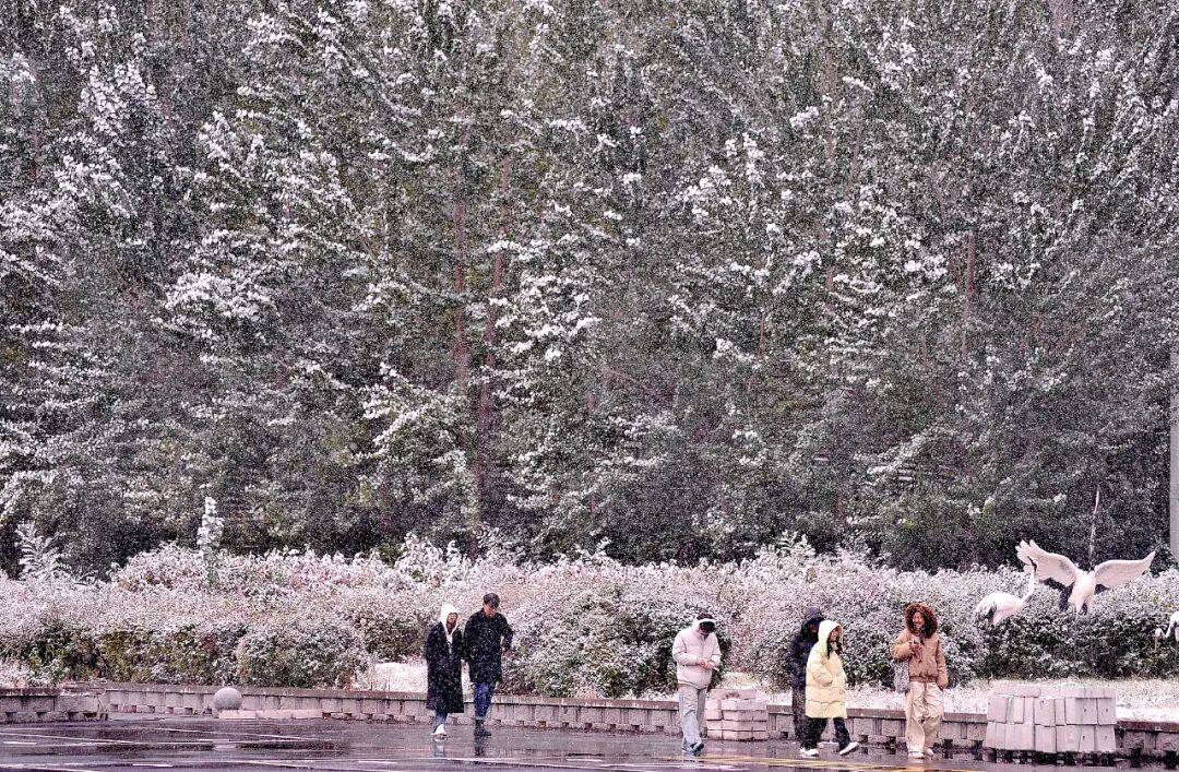 今年冬天是“超级冷冬”<strong></p>
<p>数字货币APP下载</strong>？最新回应