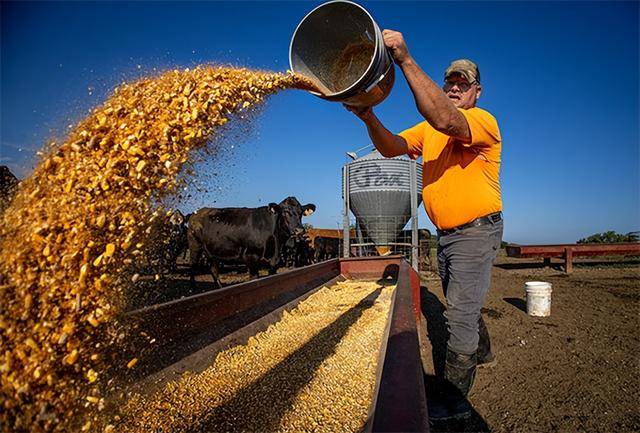 又输给了李成钢<strong></p>
<p>数字货币行情</strong>，贝森特承诺：美方不再考虑对华加征100%关税